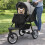 Haustier Buggy - Grau 4