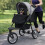 Haustier Buggy - Grau 12
