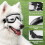 Protective goggles for dogs with adjustable strap, easy to put on, transparent. Tools > Protective Equipment 4