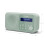 Sharp Tragbares Digitalradio - SHARP - DR-P420(GN) - DAB+/FM RDS - Bluetooth 5.3 - USB oder Batterien, Mini-Klinke 5