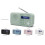 Sharp Tragbares Digitalradio - SHARP - DR-P420(GN) - DAB+/FM RDS - Bluetooth 5.3 - USB oder Batterien, Mini-Klinke 2