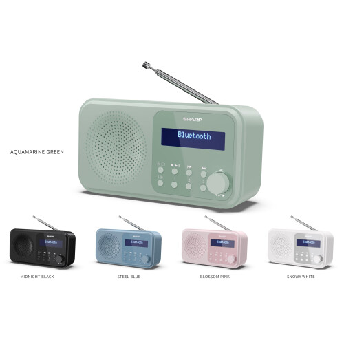 Sharp Tragbares Digitalradio - SHARP - DR-P420(GN) - DAB+/FM RDS - Bluetooth 5.3 - USB oder Batterien, Mini-Klinke 1