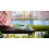 Sharp Tragbares Digitalradio - SHARP - DR-P420(GN) - DAB+/FM RDS - Bluetooth 5.3 - USB oder Batterien, Mini-Klinke 3