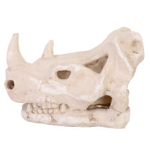 Decor de terariu pentru decorarea acvariului, model de craniu realist, schelet înfricoșător, recuzită, mediu natural, senzație de rășină,