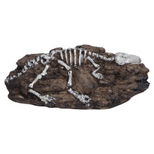 Statue de tortue en résine pour jardin paysager, décor extérieur réaliste au design très simulé, idéale pour agrémenter un bassin de jardin