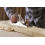 Spear & Jackson Spear & Jackson CSP4 Carpenters No.4 Smoothing Plane 3