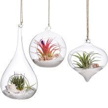 Mkouo 3 Pack Glass Hanging Planter Air Fern Holder Terrarium Plants Hanger Vase Home Decoration for Succulent Moss Tillandsias Air Plants, Olive,
