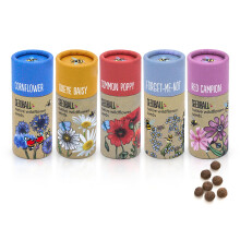 SEEDBALL Wildflower Seed Bombs (Set of 5, 20 Balls Per Tube) | Bee Friendly British Wild Flower Seeds - Poppy, Cornflower, Oxeye Daisy, Red Campion &