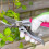 Spear & Jackson Spear & Jackson CUTTINGSET9P Colours Pink Bypass Secateurs and Snips Set 4