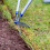 Spear & Jackson Spear & Jackson 4900RSS Razorsharp Steel Edging Shears 4