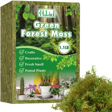 Halatool 500g Premium Sphagnum Moss for Plants - Ideal Orchid Potting Mix, Moisture-Retaining Moss for Indoor/Outdoor Potted Plants, Natural Forest