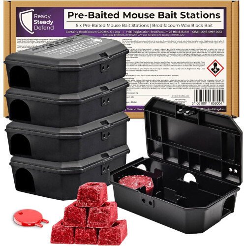 Mouse Boxes - 5 Pack