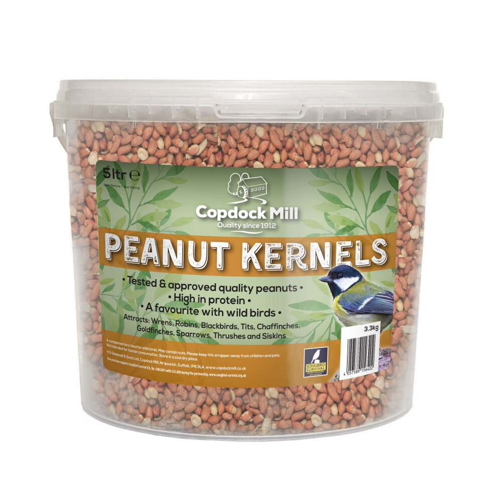 Copdock Mill Peanuts For Wild Birds - Peanut Kernels Bird Feed 5L Tub - High In Energy, Protein Rich Wild Bird Peanuts - Bird Seeds For Small Garden