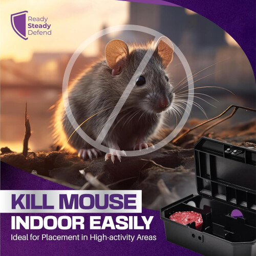 Mouse Boxes - 5 Pack 1