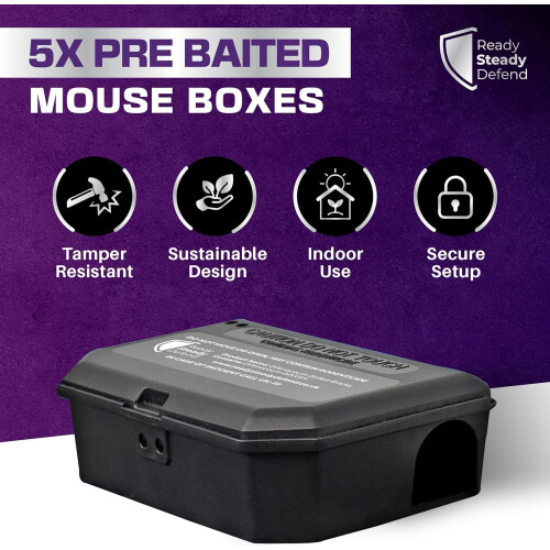 Mouse Boxes - 5 Pack 2