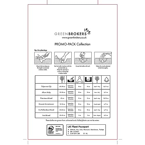 GreenBrokers 101 Promo Pack Bulbs 2
