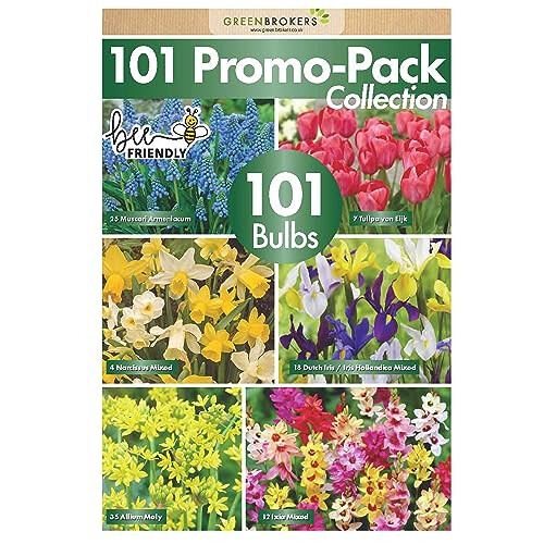 GreenBrokers 101 Promo Pack Bulbs 1