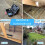 Pre Baited Mouse Boxes (Pack of 4) Effective Indoor Mouse Trap Boxes 2