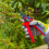 Spear & Jackson Spear & Jackson 6060BS Razorsharp Advantage Large Bypass Pruning Shear 4