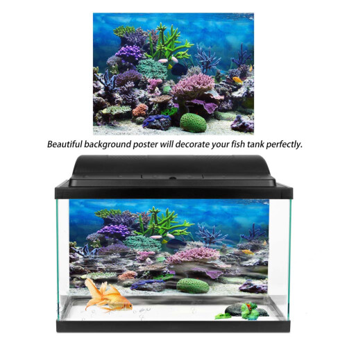 Oceanic Habitat Visual Enhancer, Θαλάσσιο φόντο μαρίνας γυάλινο αυτοκόλλητο τοίχου με 1