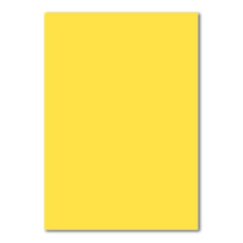 Neuser A4 paper sheet Plano sheet 160 g/m? FarbenFroh Gesamtparent 100 Blatt 12-Honig-Gelb