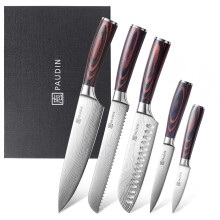 PAUDIN Kitchen Knife Set, High Carbon Stainless Steel Kitchen Knives, 5 Piece Chef Knives Sets with Ergonomic Handle, Japanese Knife Set,Cooking