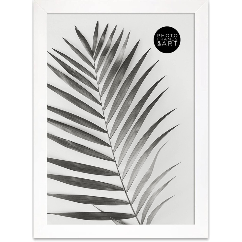 Pf+A Real Glass A4 Picture Frame - Oxford Premium Photo Frame - A4 Certificate Frame / 21X29.7cm Frame White 5051221906539