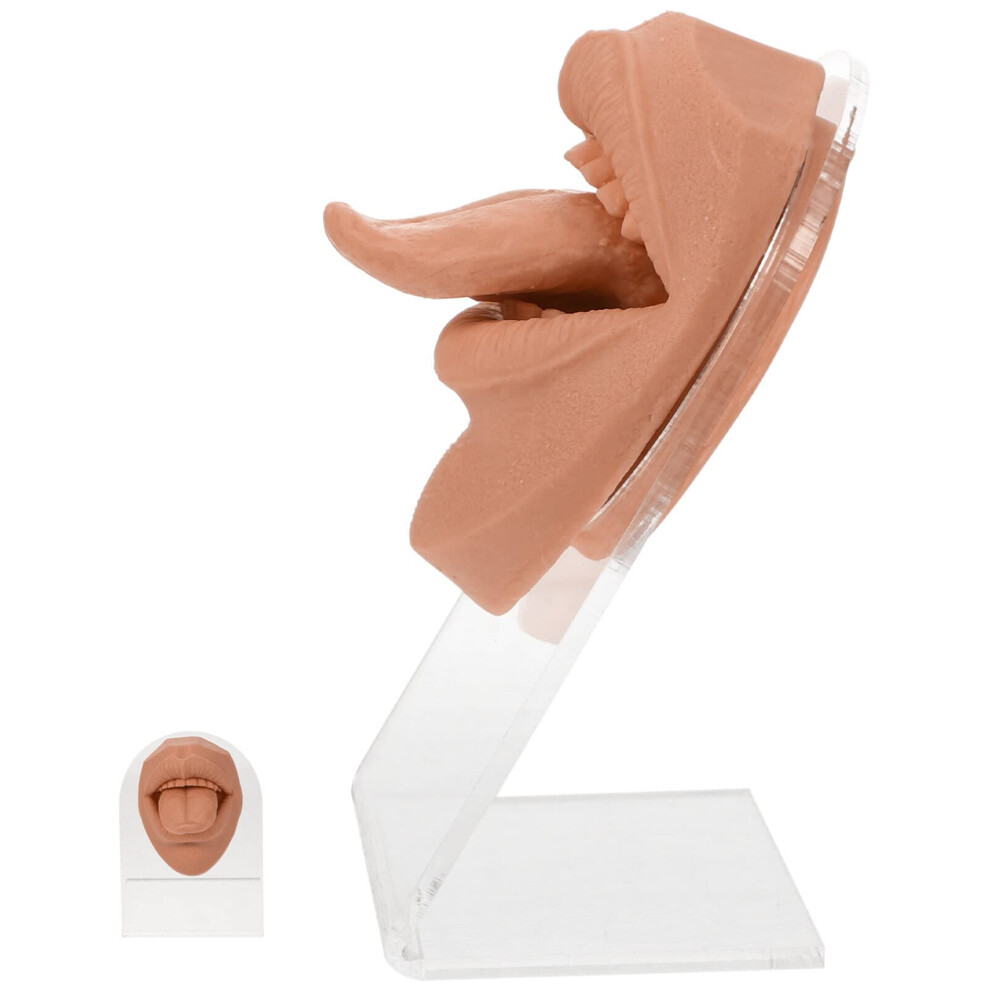Silicone Piercing Practice Model with Lifelike Mouth and Tongue for Jewelry Display and Training
