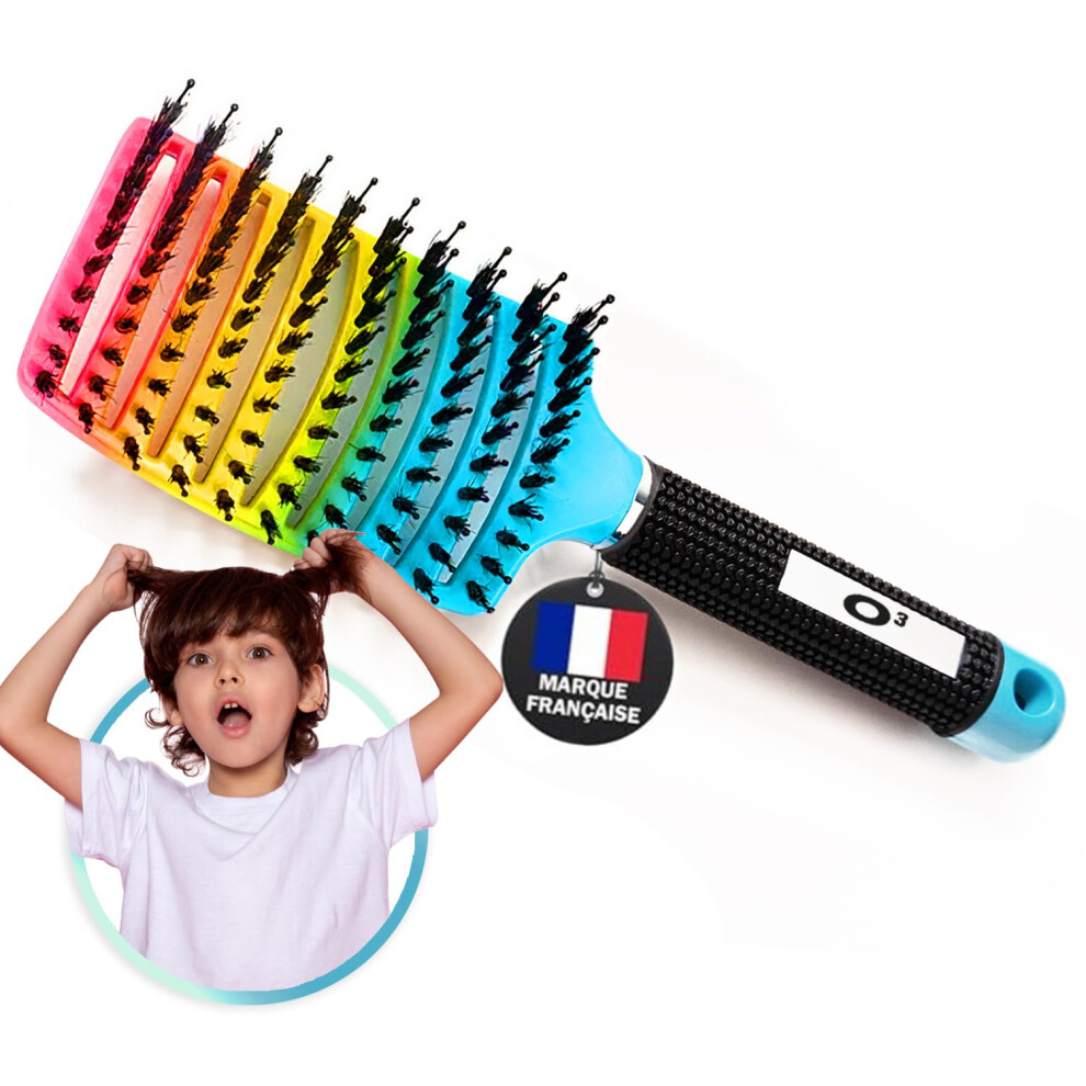 Blue Boar Bristle Hair Brush For All Hair Types, Gentle Detangling And Frizz Reduction, Rainbow