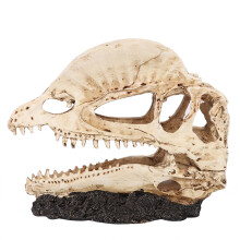 Realistické pryskyřičné řemesla dinosauří lebka fosilní kostra učební model akvárium terárium dekorace simulace pryskyřičná kostra