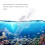 Precision Salinity Tester for Marine Aquariums Durable and Long Lasting Automatic Accurate Reading Hydrometer with Specific Gravity Test Capability 4