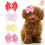 Αξεσουάρ μαλλιών κατοικίδιων ζώων Χαριτωμένα φιογκάκια μαλλιών σκύλου με 5