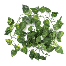 Adicione vida à divertida trepadeira artificial com folhas pendentes para decoração de terrários e habitats. Trepadeira longa e flexível para