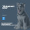 Εργαλεία περιποίησης κατοικίδιων ζώων για σκύλους, αυτόματο καθαριστικό σκύλων 3