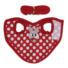 Conjunto de coleira e guia para animais de estimação, colete de nylon macio com alça peitoral ajustável e argola em D nas costas, coleira