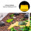 Solplatform til skildpaddeakvarium, flydende platform til krybdyrskildpadder i akrylmateriale. Giftfrit og harmløst design. Forbedrer 6