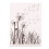 Dandelion Plastic Embossing Folder Template for DIY-Light Green 1