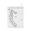 Reef Ocean Hydrometer Accurate Salinity Tester Specific Gravity Meter With Automatic Level Function Temperature Corrected Brackish Water Compatible Du 5