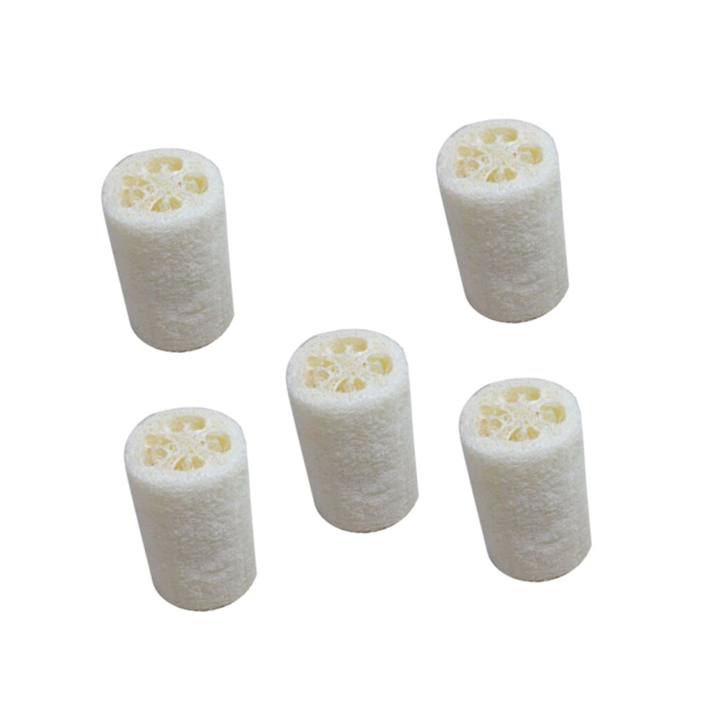 5Pcs Natural Loofah Sponge Set for Gentle Skin Exfoliation and Multipurpose Bath Cleaning