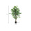 HOMCOM Artificial Ficus Tree, with Weighted Plant Pot - Green 3