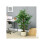 HOMCOM Artificial Ficus Tree, with Weighted Plant Pot - Green 6