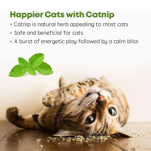 Δελεαστικά παιχνίδια Catnip, παιχνίδια μέντας για γάτες με διαδραστικά 2