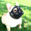 Bulldog Muzzle with Eyehole Design, Skin Friendly Adjustable Mesh Dog Muzzle for Anti Biting 5