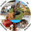 Basket Muzzle for Aggressive Dogs, Breathable Design Ergonomic Appearance Soft Muzzle Anti-Biting Chewing, Allows Panting Drinking for Small Medium Do 7