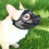 Bulldog Muzzle with Eyehole Design, Skin Friendly Adjustable Mesh Dog Muzzle for Anti Biting 6