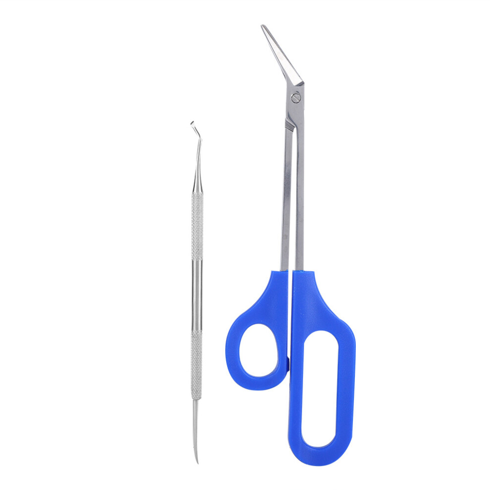 Ergonomic Design Toenail Scissors With Beveled Blades Long Handle Nail Clippers For Seniors Easy Grip Precision Cutting Tool