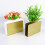 1pcs Napkin Dispenser for Home 2