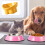 Υπερυψωμένα μπολ για γάτες Pet Comfort, σχεδιασμός με κλίση 15 για προστασία της 4