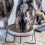 Pet Feeding Revolution, Κεραμικά υπερυψωμένα μπολ για κατοικίδια με σιδερένια βάση για 4