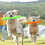 Pet Companion's Delight, ανθεκτικό λαστιχένιο στικ TPR για επιθετικό μάσημα, παιχνίδι 5